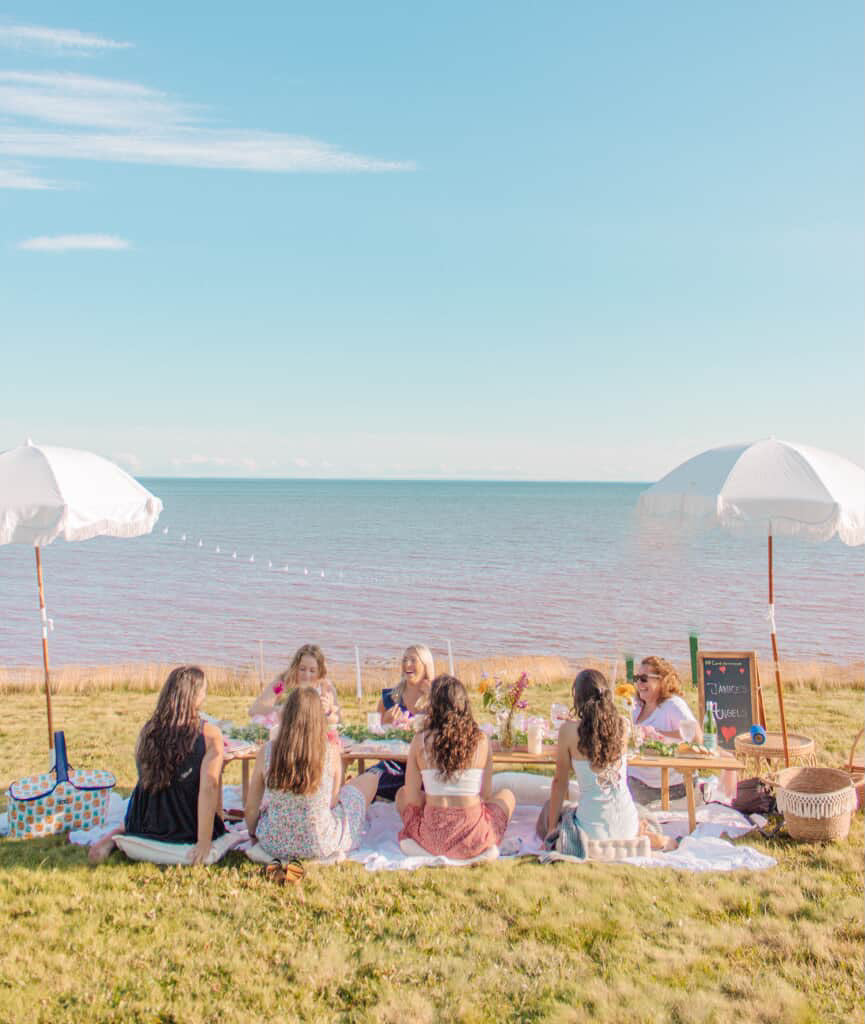 Cordial Picnics x TATA Ceramics